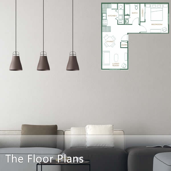 Spacious Floor Plans